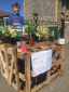 Year 7 Pupil Sets Up Plant Stall In Aid Of Charity