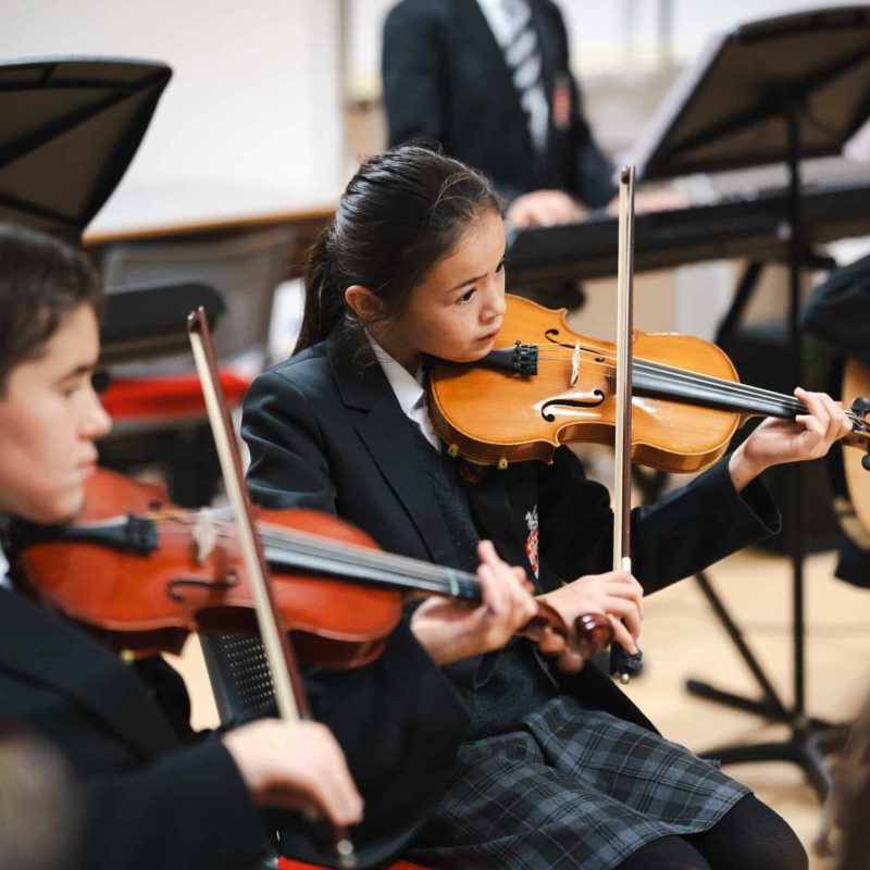 xKingswood Senior 2MB 2025-198